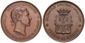 Alfonso XII. Medalla. 1877. (AVM-472 variante). Ae. 62,85 g. Exposición regional de Lugo 1877, "Premio al Mérito". Grabador: L. Plañiol. 48 mm. Golpe ...
