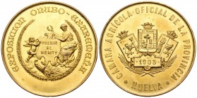 Medalla. 1903. 73,47 g. Cámara Agrícola de la provincia de Huelva. Exposición Onubo Extremeña. Premio al mérito. Metal dorado. 53 mm. SC-. Est...20,00...