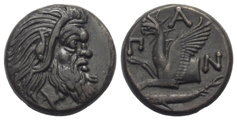 Taurischer Chersones. Pantikapaion.

 Bronze. Ca. 325 - 310 v. Chr.
Vs: Kopf ...