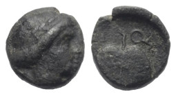 Kleinasien. Satrapenprägung im westlichen Kleinasien.

 Bronze. 4. Jhdt. v. Chr.
Vs: Kopf des Apollon mit Lorbeerkranz rechts.
Rs: Blatt; im Feld ...
