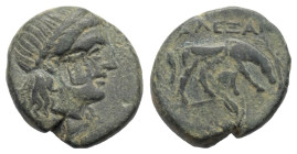 Troas. Alexandreia.

 Bronze. 3. - 2. Jhdt. v. Chr.
Vs: Kopf des Apollon mit Lorbeerkranz rechts; runder Gegenstempel mit Kithara.
Rs: Pferd nach ...