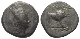 Königreich Kommagene. Antiochos I. Theos (69 - 34 v. Chr.).

 Bronze.
Vs: Drapierte Büste des Tigranes mit Tiara rechts.
Rs: Löwe nach rechts steh...
