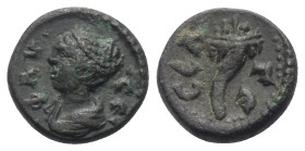 Pisidien. Selge. Faustina II. (gest. 176 n. Chr.).

 Bronze.
Vs: Drapierte Büste links.
Rs: Füllhorn.

13 mm. 2,53 g. 

SNG von Aulock 5304; S...