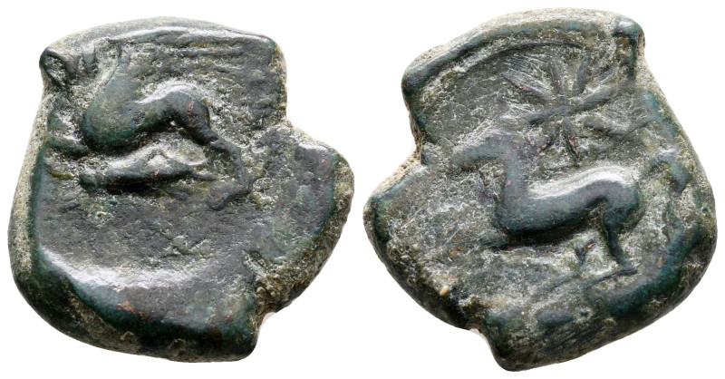 Sicily. Alaisa Archonidea circa 300 BC. 
Bronze Æ

24 mm, 10,51 g



near...