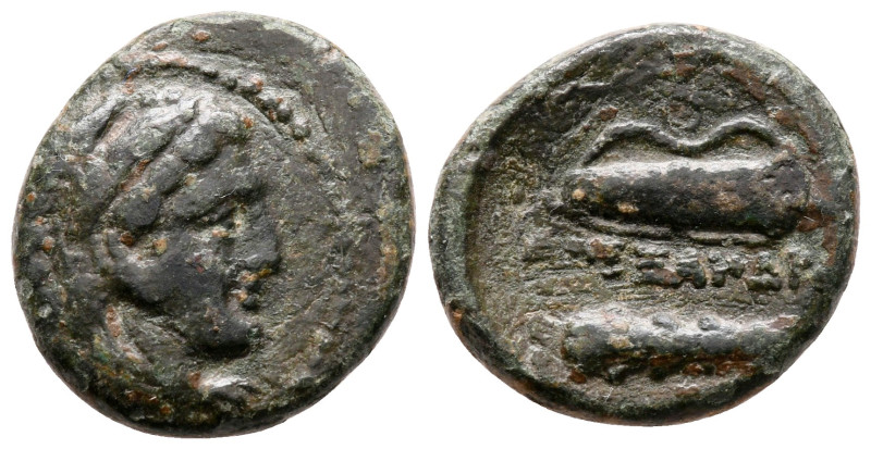 Kings of Macedon. Uncertain mint. Alexander III "the Great" 336-323 BC. 
Bronze...