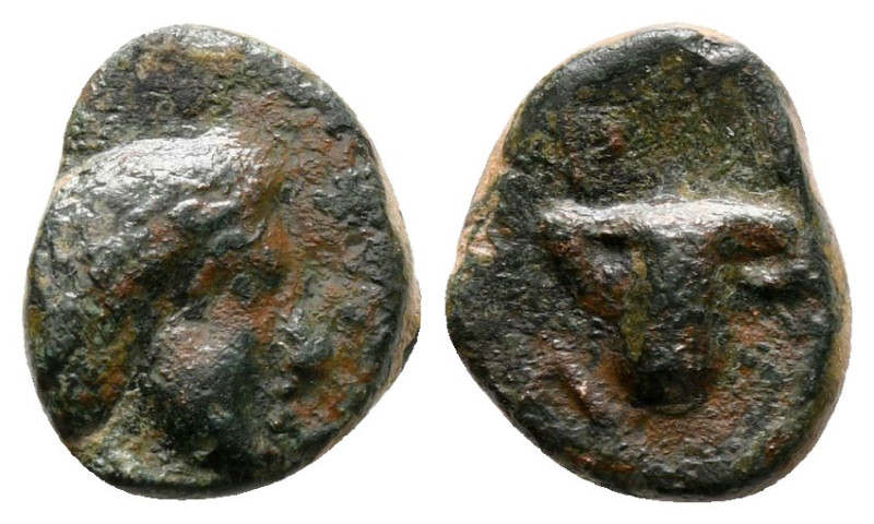 Kings of Thrace. Odrysian, uncertain king 405-340 BC. 
Bronze Æ

10 mm, 0,92 ...