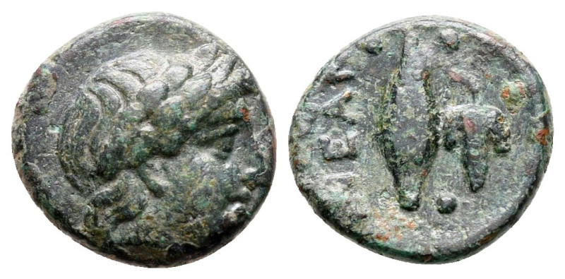 Troas. Neandria circa 400-300 BC. 
Bronze Æ

11 mm, 1,40 g



very fine