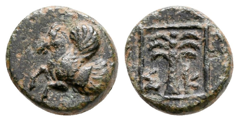 Troas. Skepsis circa 400-310 BC. 
Bronze Æ

9 mm, 0,99 g



very fine