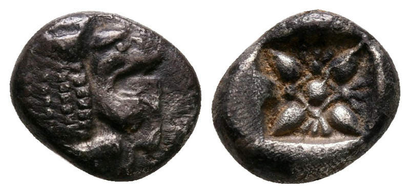 Ionia. Miletos circa 525-475 BC. 
Diobol AR

9 mm, 1,10 g



very fine