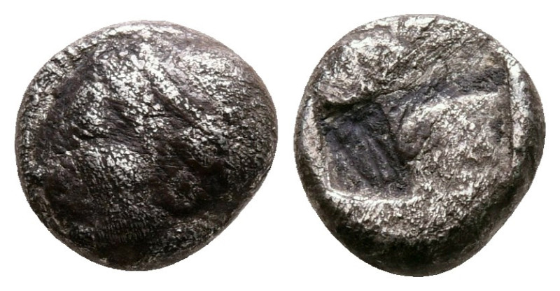 Ionia. Phokaia circa 521-478 BC. 
Diobol AR

8 mm, 1,17 g



nearly very ...