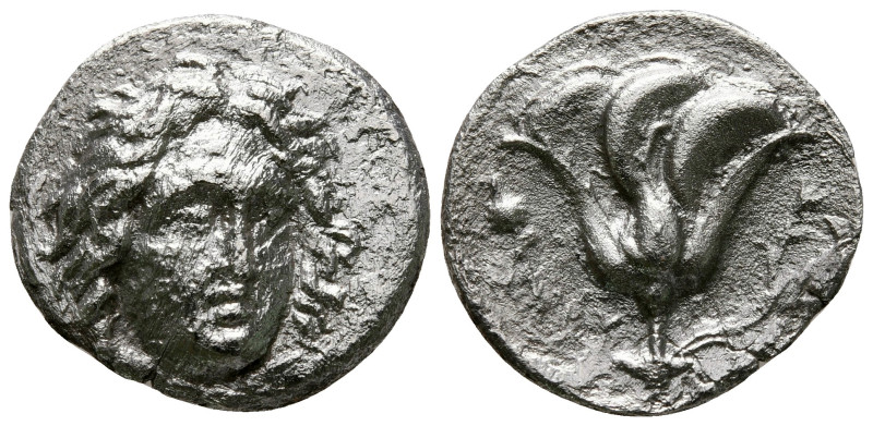 Islands off Caria. Rhodos circa 230-205 BC. 
Didrachm AR

20 mm, 5,88 g


...