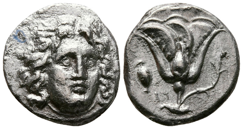 Islands off Caria. Rhodos circa 230-205 BC. 
Didrachm AR

20 mm, 5,93 g


...