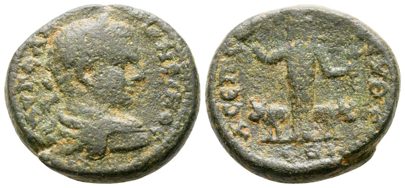 Judaea. Eleutheropolis. Caracalla AD 198-217. 
Bronze Æ

22 mm, 9,09 g


...