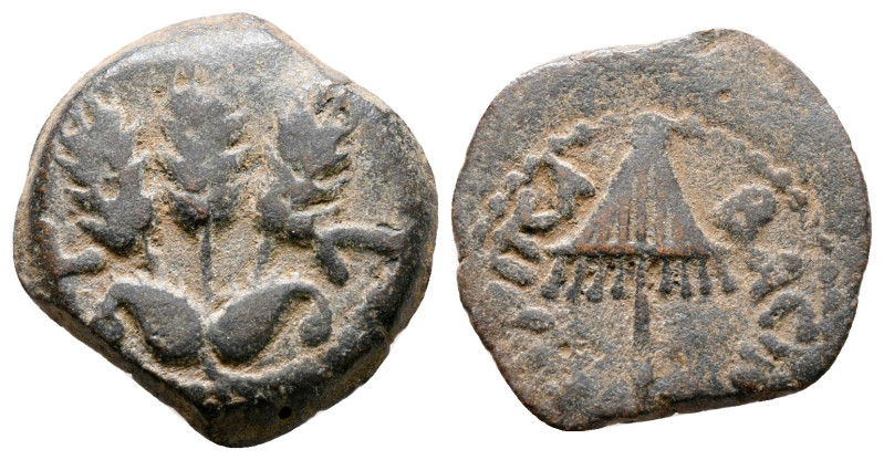 Judaea. Jerusalem. Herodians. Agrippa I AD 37-43. 
Prutah Æ

17 mm, 2,72 g
...