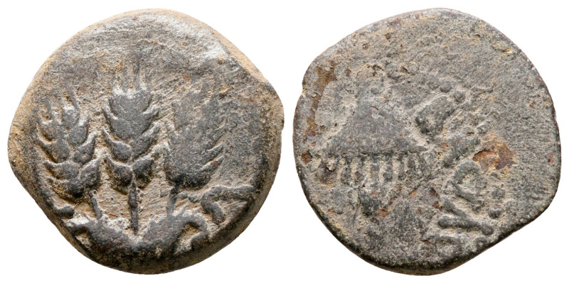 Judaea. Jerusalem. Herodians. Agrippa I AD 37-43. 
Prutah Æ

18 mm, 3,18 g
...