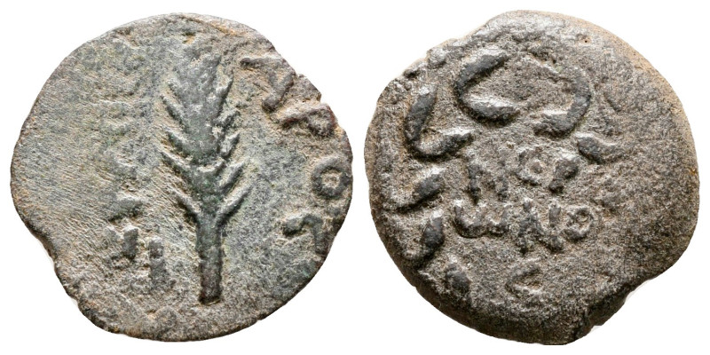 Judaea. Jerusalem. Procurators. Porcius Festus AD 59-62. 
Prutah Æ

16 mm, 1,...