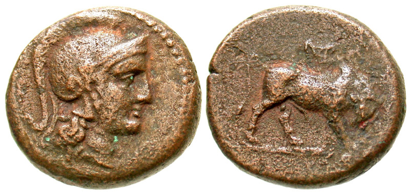 "Seleukid Kingdom. Seleukos I Nikator. 312-281 B.C. AE 20 (20.2 mm, 8.28 g, 1 h)...