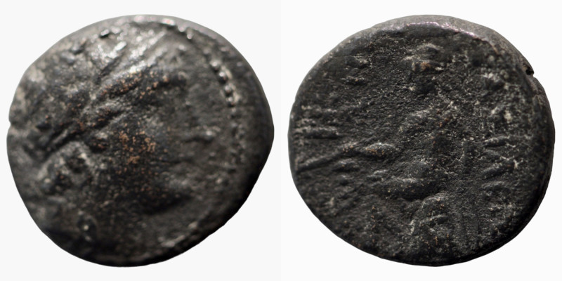 Seleukos III. Keraunos. (226-223 BC). Bronze Æ. (14mm, 2,85g) Antioch.