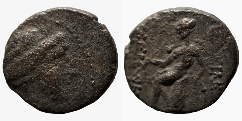 Seleukos III. Keraunos. (226-223 BC). Bronze Æ. (14mm, 2,86g) Antioch.