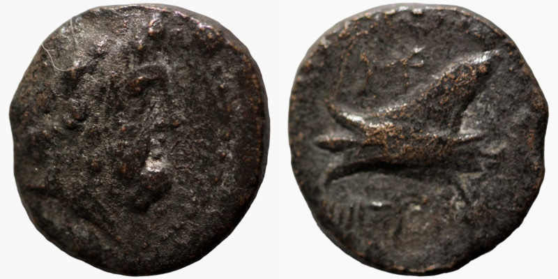 Phoenicia. Arados. (137-51 BC) Æ Bronze. (15mm, 2,52g) Obv: laureate head of Zeu...