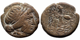 Seleukos I. Nikator. (300-286 BC). Bronze Æ. (19mm, 6,35g) Antioch.