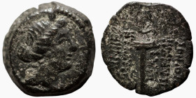 Seleukos III. Keraunos. (226-223 BC). Bronze Æ. (14mm, 2,40g) Antioch.