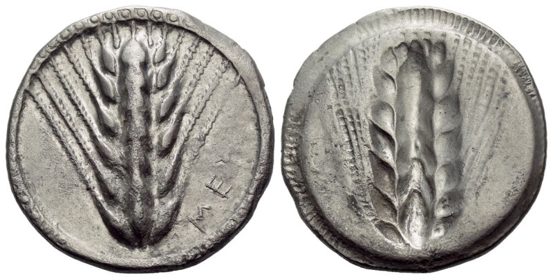 Lucania, Metapontum Nomos circa 540-510, AR 24.00 mm., 6.99 g.
Barley ear with ...