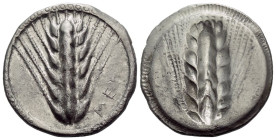 Lucania, Metapontum Nomos circa 540-510