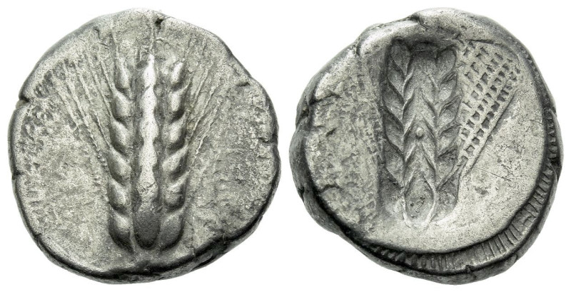 Lucania, Metapontum Nomos circa 470-440, AR 18.00 mm., 8.05 g.
Ear of barley wi...