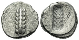 Lucania, Metapontum Nomos circa 470-440