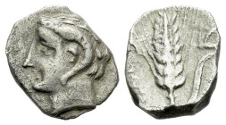 Lucania, Metapontum Diobol circa 325-275