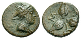 Lucania, Metapontum Bronze circa 225-220