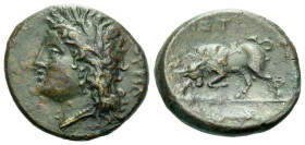 Lucania, Thurium Bronze circa 280-213