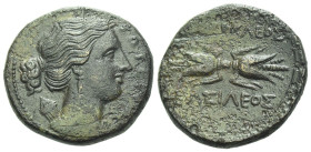 Sicily, Syracuse Bronze circa 317-289 - From a British collection assembled in the 1920's (sold with its original ticket)