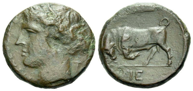 Sicily, Syracuse Bronze circa 275-216, Æ 19.00 mm., 6.13 g.
[ΣΥPAKOΣIΩN] Head o...