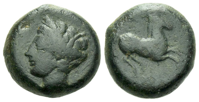 The Carthaginians in Sicily and North Africa, Carthage (?) Bronze circa 340-320,...