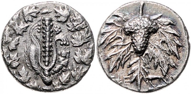 Griechen - Lydien - Sardes Didrachme 166-160 v.Chr. Cistopharischer Typ, Löwenfe...