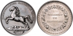 Braunschweig und Lüneburg - Hannover, Stadt Silbermedaille 1883 des Hannoverschen Gartenbau Vereins VERDIENST UM GARTENBAU" "
Vs. herrliche Patina 41...