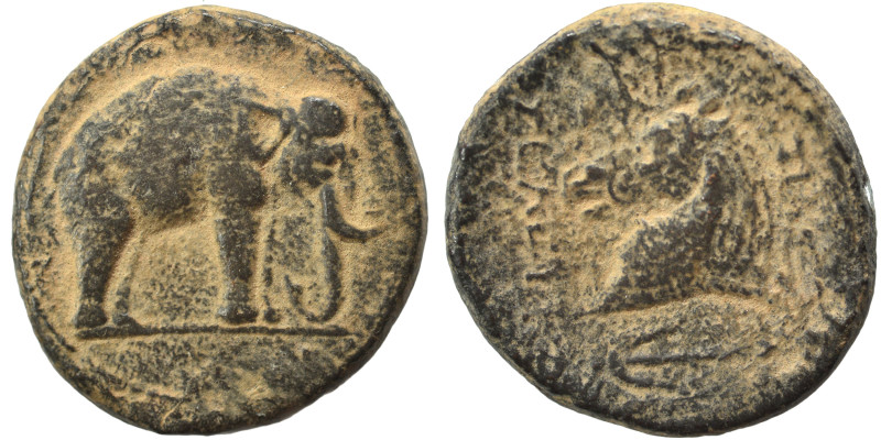 SELEUKID KINGS of SYRIA. Seleukos I Nikator, 312-281 BC. (bronze, 7.24 g, 20 mm)...