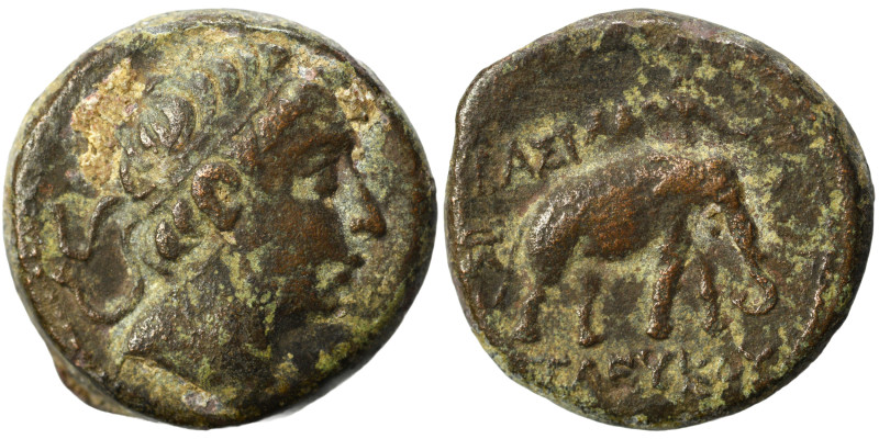 SELEUKID KINGS of SYRIA. Seleukos II Kallinikos, 246-226 BC. Ae (bronze, 5.63 g,...