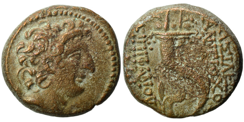 SELEUKID KINGS of SYRIA. Antiochos VIII Epiphanes (Grypos). 121/0-97/6 BC. Ae (b...