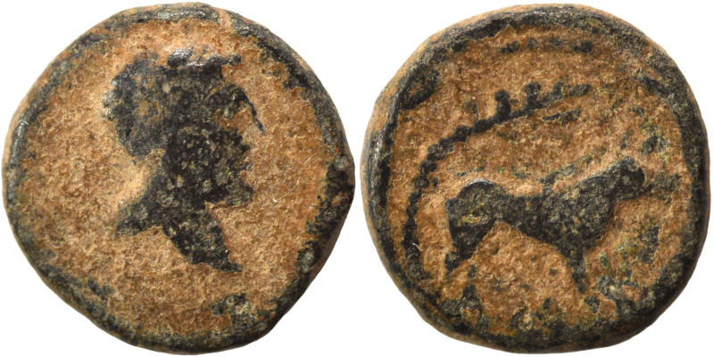 Uncertain. Ae (bronze, 1.09 g, 10 mm). Bust right. Rev. Horse to right, fig tree...