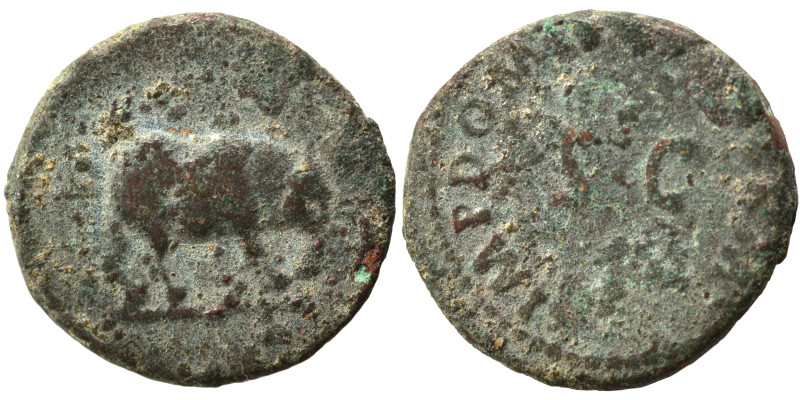 Domitian, 81-96. Quadrans (bronze, 2.46 g, 16 mm), Rome. Rhinoceros advancing ri...