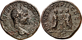 (210 d.C.). Geta. Sestercio. (Spink 7264) (Co. 145) (RIC. 156b). Pequeña grieta. Rara. 22,49 g. (MBC-/MBC).