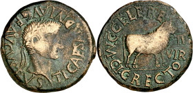 Tiberio. Calagurris (Calahorra). As. (FAB. 430) (ACIP. 3130b). 12,82 g. MBC-/MBC.