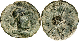 Carbula (Almodóvar del Río). As. (FAB. 441) (ACIP. 2313). Pátina verde. 7,24 g. MBC.