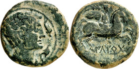 Iltirta (Lleida). As. (FAB. 1465) (ACIP. 1251). Pátina verde. 16,30 g. MBC.