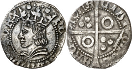 Ferran II (1479-1516). Barcelona. Croat. (Cru.V.S. 1137) (Cru.C.G. 3066). 3,09 g. MBC.