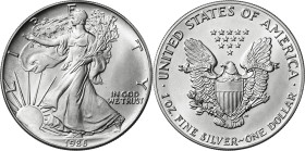 Estados Unidos. 1986. Filadelfia. 1 dólar. (KM. 273). AG. 31,36 g. S/C.