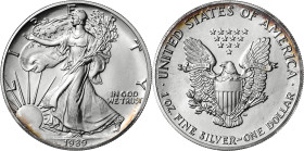Estados Unidos. 1989. Filadelfia. 1 dólar. (KM. 273). AG. 31,27 g. S/C.